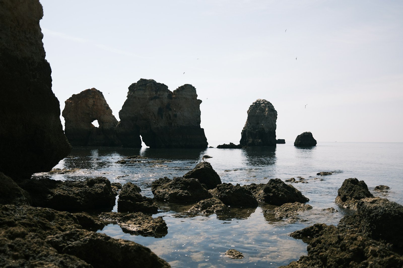 Rocky coastline with calm ocean water and rock formations.