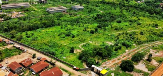 Sale of family Land Without Consent of Other family members